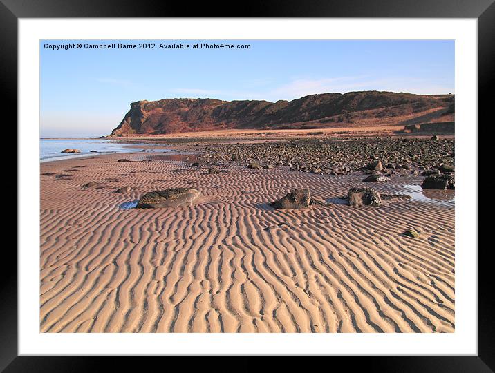 Bracken Bay beach Framed Mounted Print by Campbell Barrie