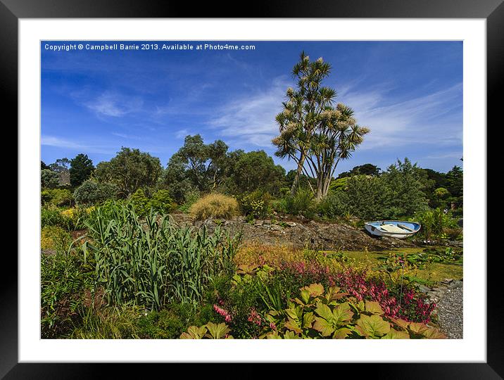 Logan Botanic Gardens Framed Mounted Print by Campbell Barrie