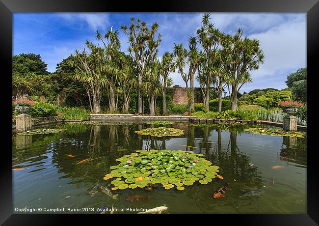 Logan Botanic Gardens Framed Print by Campbell Barrie