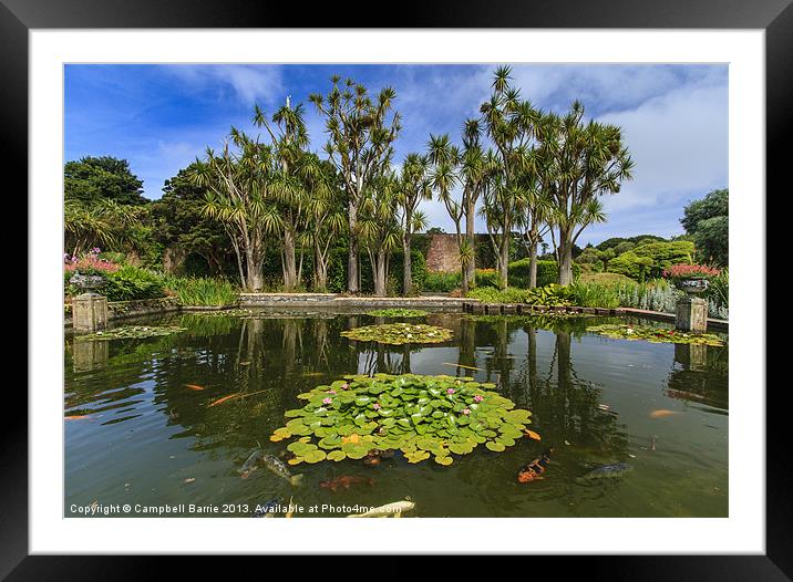 Logan Botanic Gardens Framed Mounted Print by Campbell Barrie
