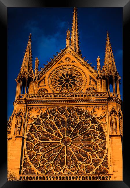 Notre Dame Motif Framed Print by Ray Shiu