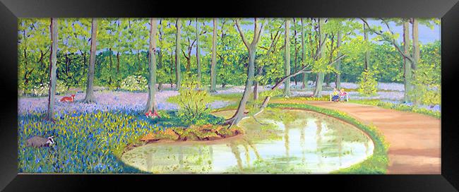 Tranquillity in Bluebell Woods Framed Print by Roger Stevens