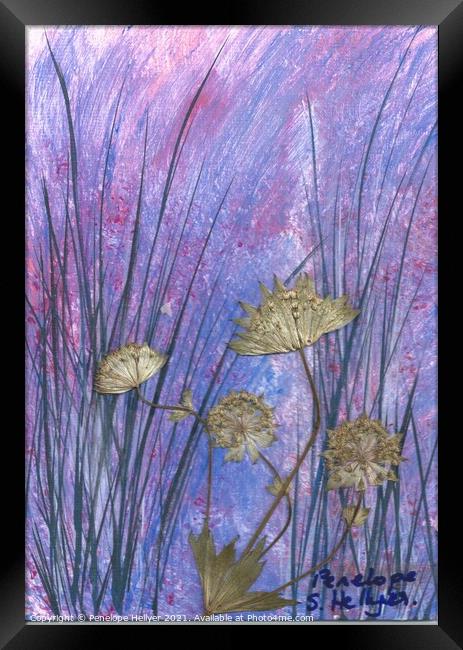 Black Grass Astrantia meadow Framed Print by Penelope Hellyer