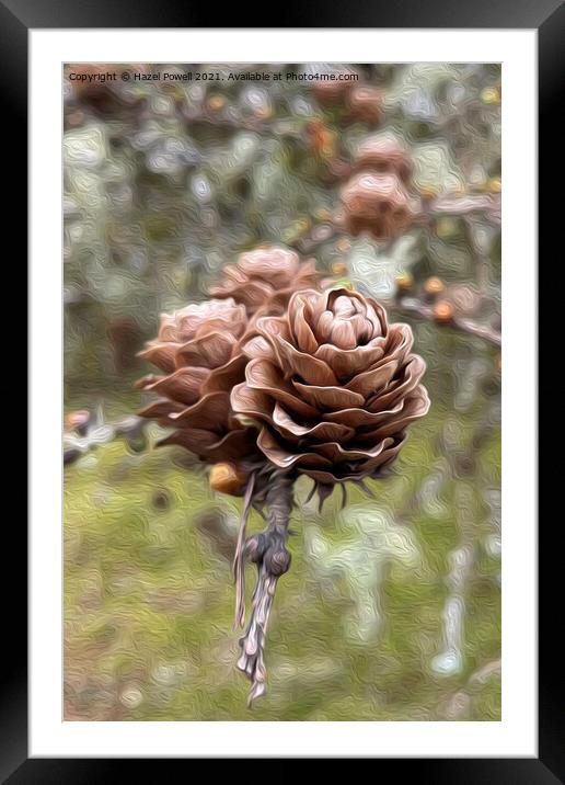 Pine Cones Framed Mounted Print by Hazel Powell