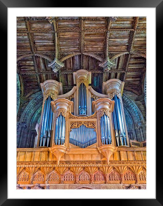  St Davids Cathedral Organ Framed Mounted Print by Hazel Powell