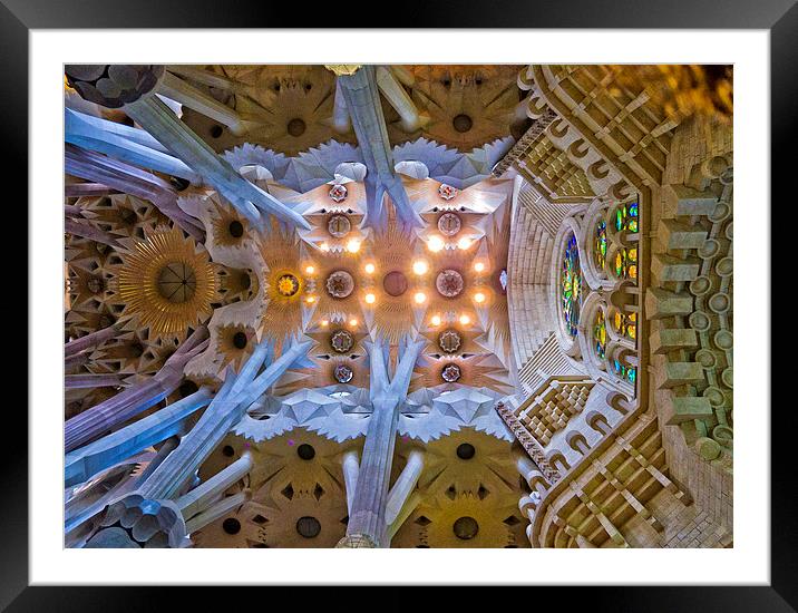  Ceiling found in La Sagrada Familla, Barcelona Framed Mounted Print by Hazel Powell