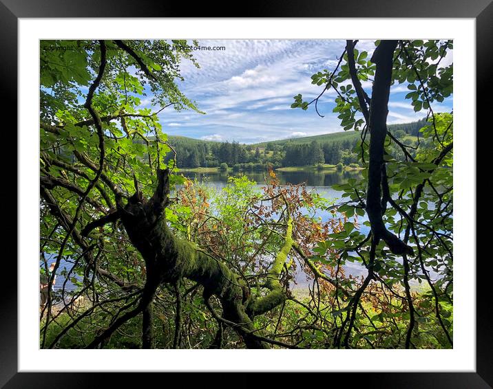Llwyn On Reservoir, through the trees Framed Mounted Print by Hazel Powell