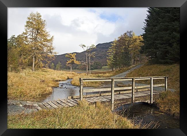 Bridge on Blea Tarn Framed Print by Martin Kemp Wildlife