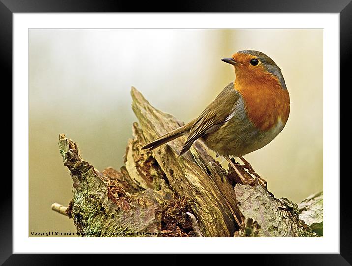 Looking back Framed Mounted Print by Martin Kemp Wildlife
