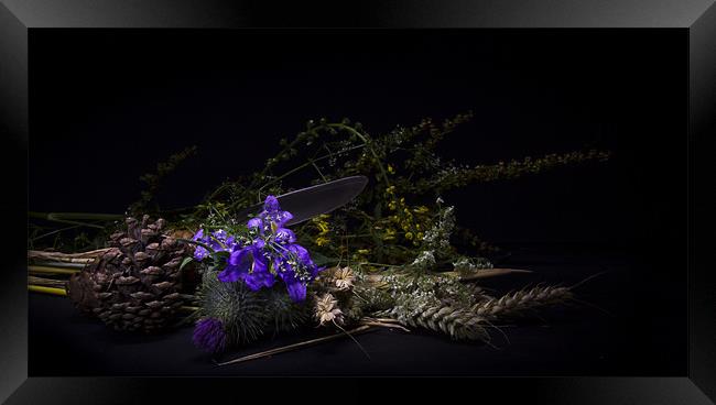 Table Flower Display Framed Print by steven ibinson