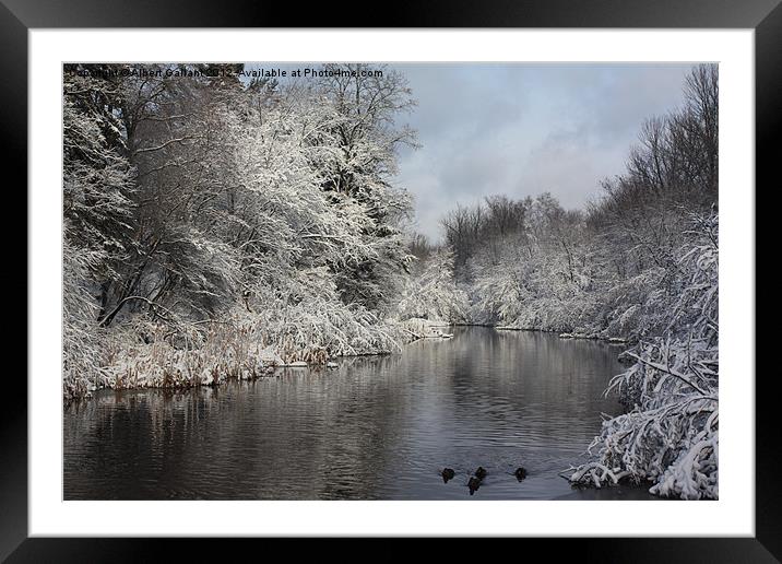 The nature of Winter Framed Mounted Print by Albert Gallant
