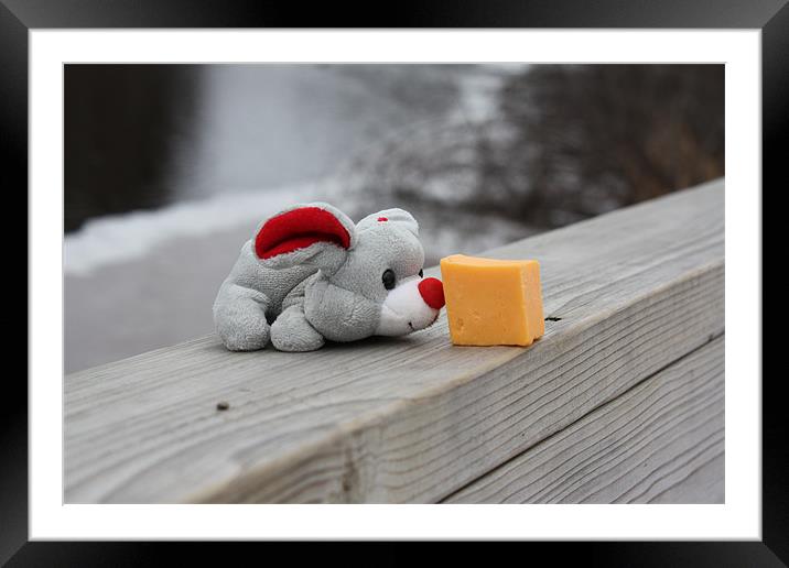 A mouse and his cheese. Framed Mounted Print by Albert Gallant