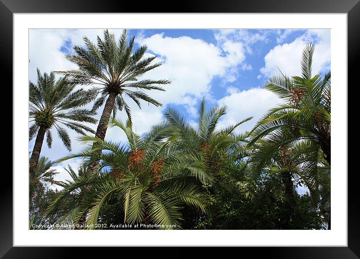 Tropical Framed Mounted Print by Albert Gallant