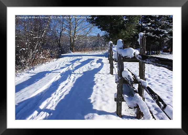 Winter Path Framed Mounted Print by Albert Gallant