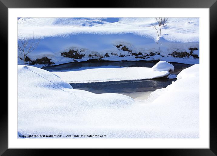 Shades of Winter Framed Mounted Print by Albert Gallant