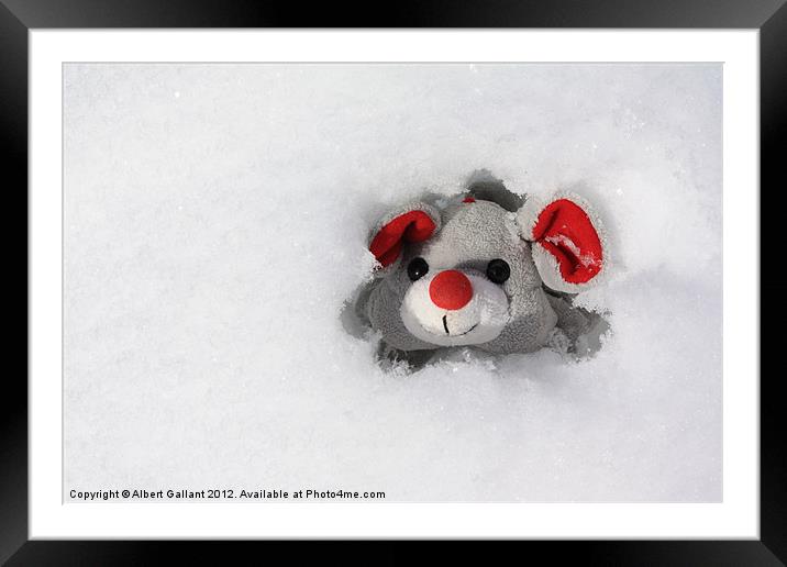 Mouse in his snow-house Framed Mounted Print by Albert Gallant