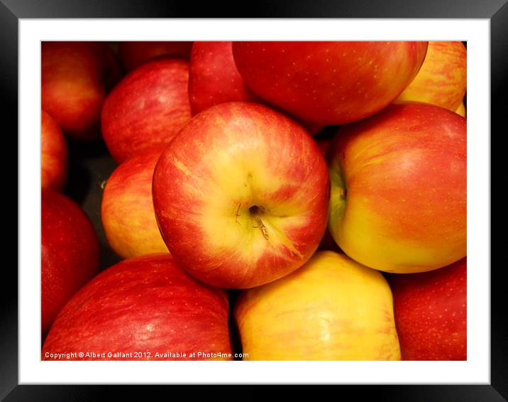 Apples Framed Mounted Print by Albert Gallant