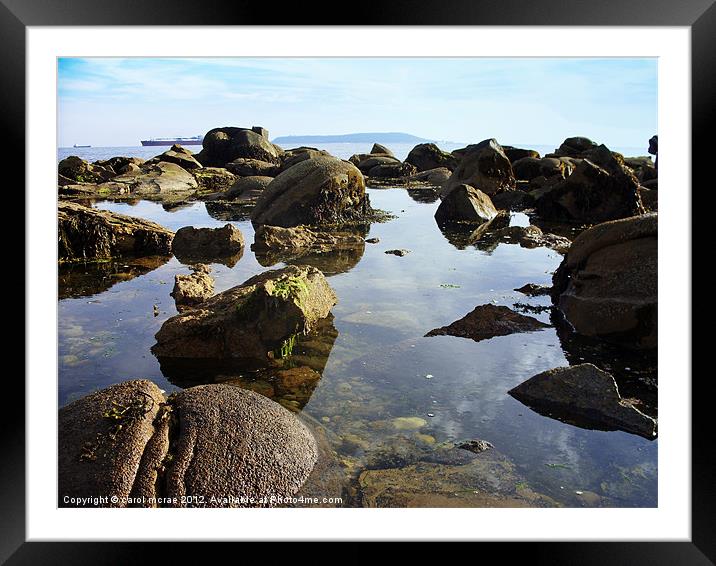 Rock Pool Framed Mounted Print by carol mcrae
