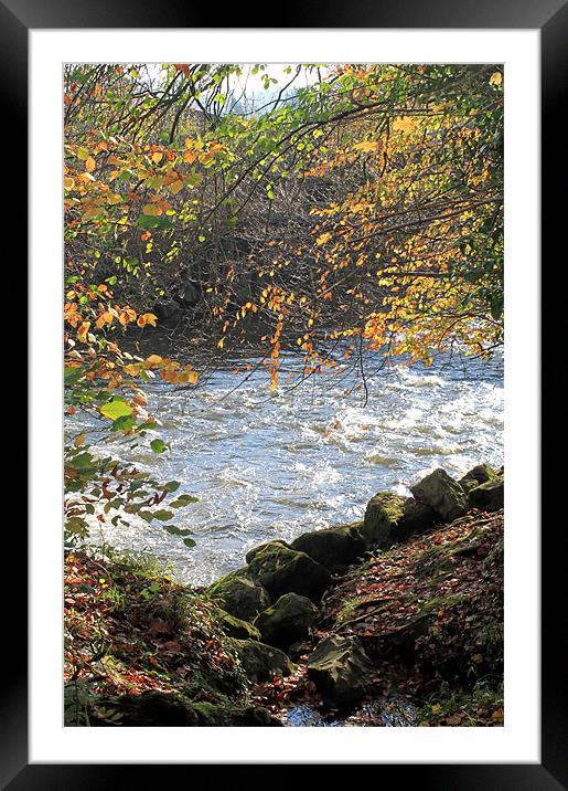 Autumn rapids Framed Mounted Print by Catherine Joanne Watkins