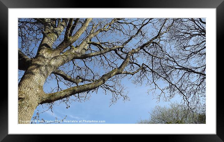 A warm spring day... Framed Mounted Print by Rob Taylor