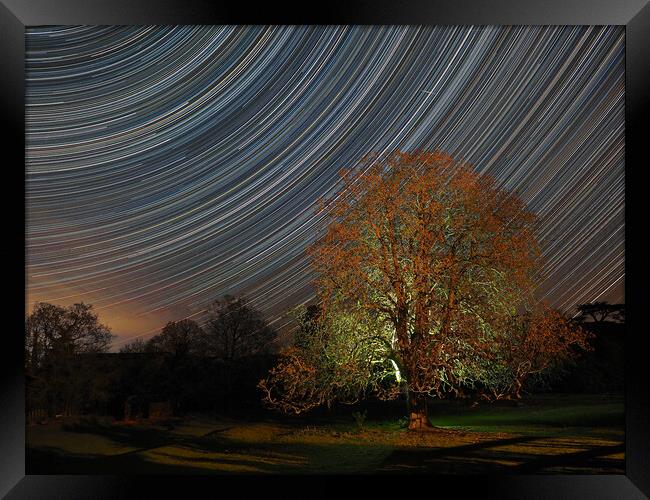 Star trail with lit tree Framed Print by mark humpage