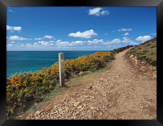 Cornwall sea and coast path Framed Print by mark humpage