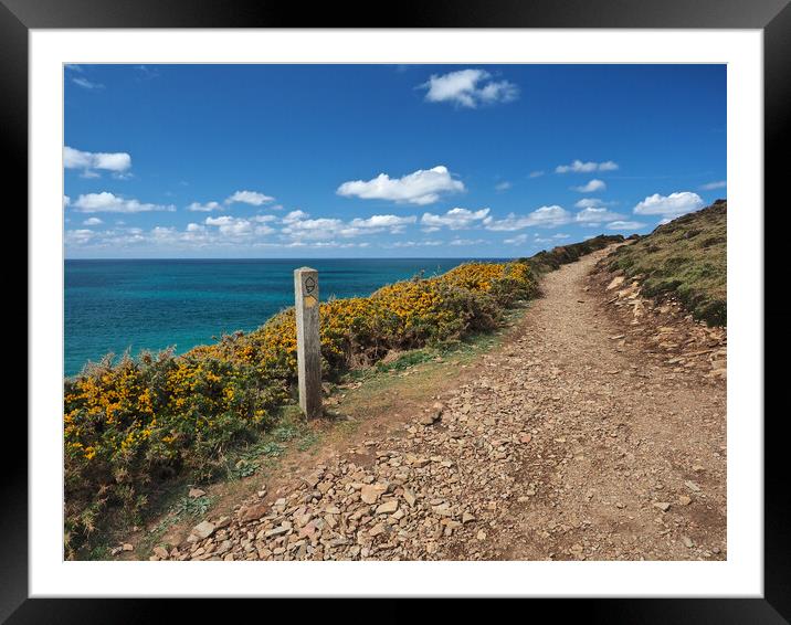 Cornwall sea and coast path Framed Mounted Print by mark humpage