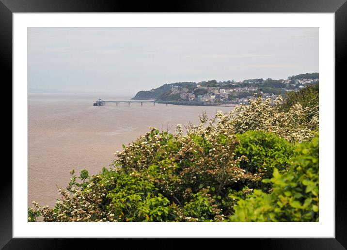 Clevedon Pier Framed Mounted Print by mark humpage