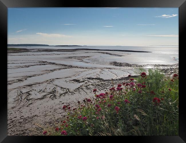 Clevedon Somerset low tide mud Framed Print by mark humpage