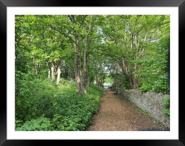 Tree lined path at St Andrews church, Clevedon Framed Mounted Print by mark humpage