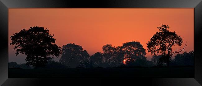 Plume Sunrise Framed Print by mark humpage