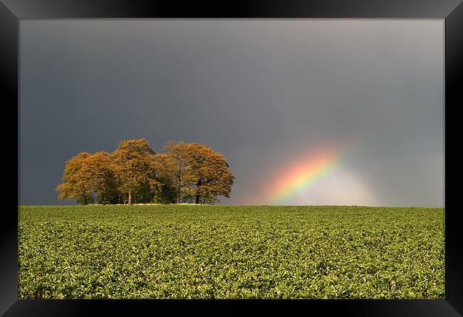 Storm Bow Framed Print by mark humpage