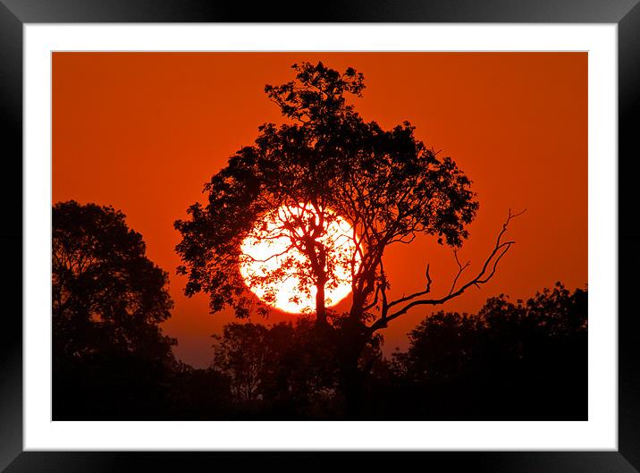 Sun Hat Framed Mounted Print by mark humpage