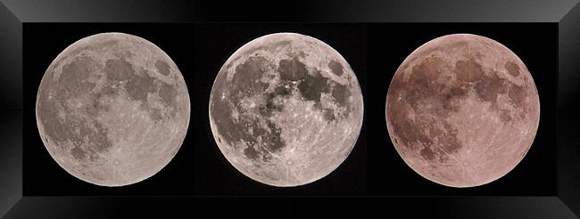 Lunar Trio Framed Print by mark humpage