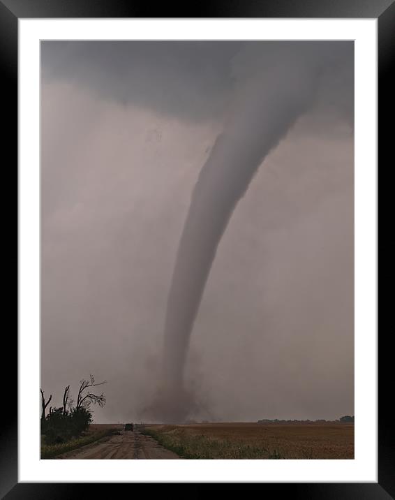 Tornado Trunk Framed Mounted Print by mark humpage