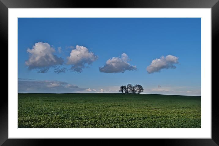 Cloud Train & Trees Framed Mounted Print by mark humpage