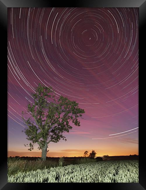 Star trail and tree Framed Print by mark humpage