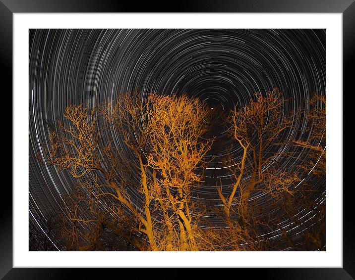 Star trail with trees Framed Mounted Print by mark humpage