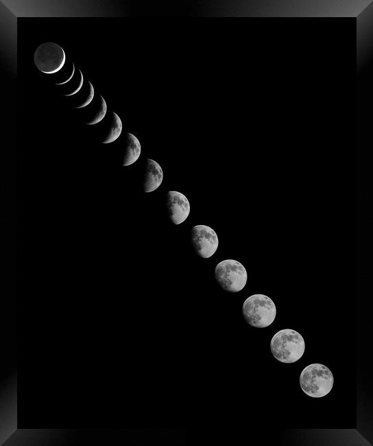 All Moon Phases Framed Print by mark humpage