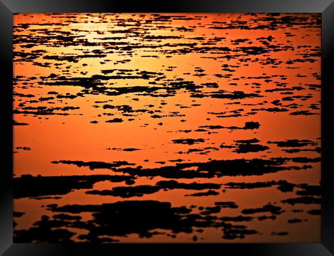 Golden Sunset over water Framed Print by mark humpage