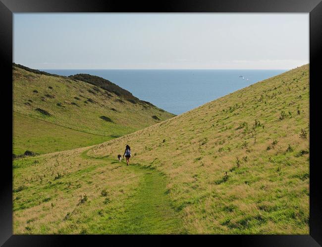 Devon coast walk Framed Print by mark humpage