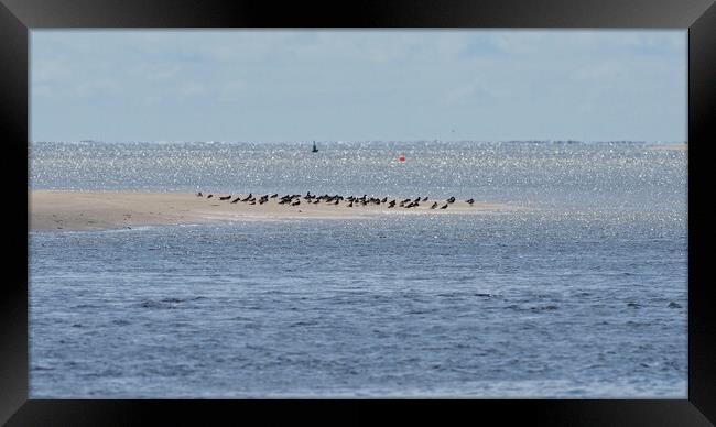 North Wales coast sun, sand and beach Framed Print by mark humpage