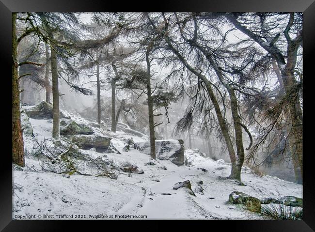 Winter woodland Framed Print by Brett Trafford