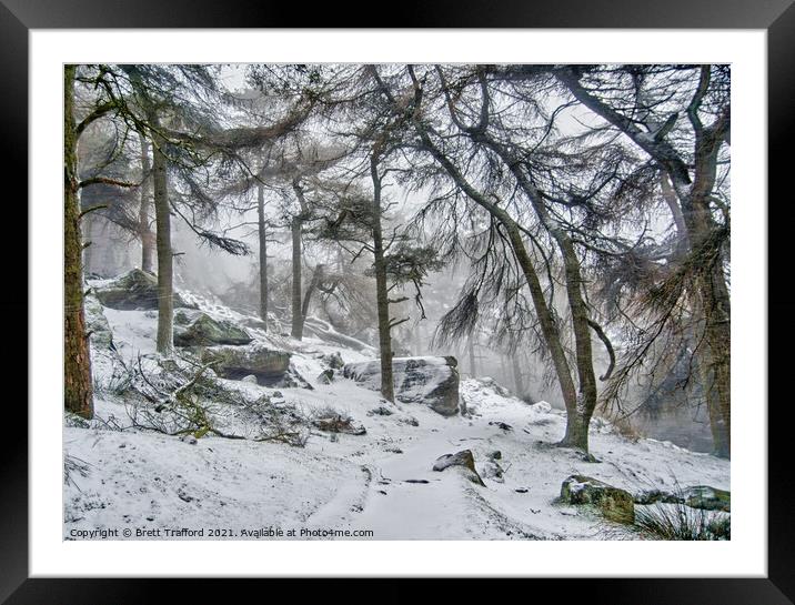 Winter woodland Framed Mounted Print by Brett Trafford