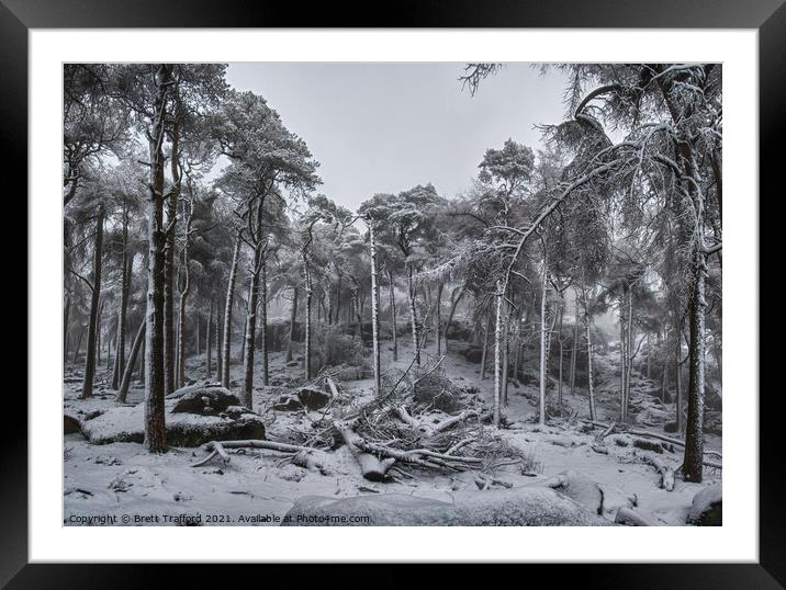 Winter Woodland Framed Mounted Print by Brett Trafford