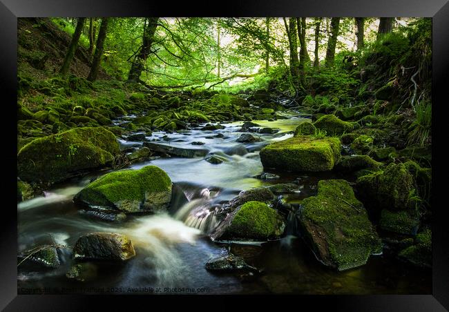 Black Brook Framed Print by Brett Trafford