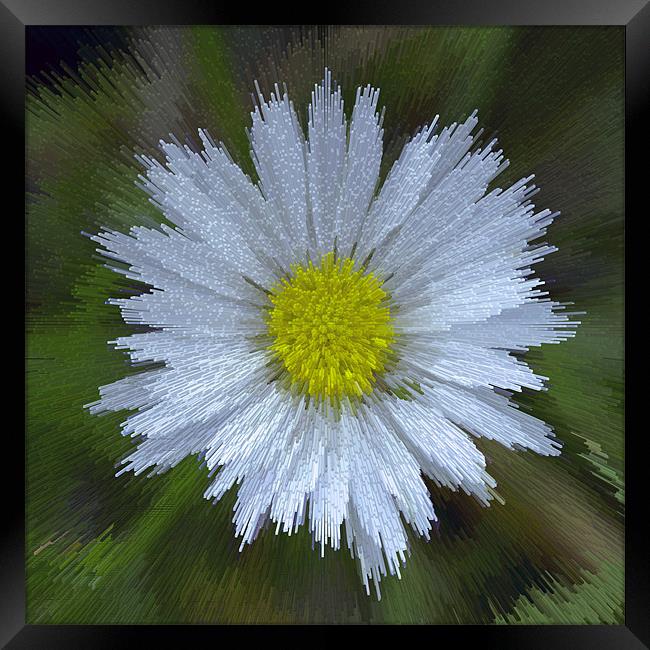 Abstract Daisy Framed Print by Bill Simpson