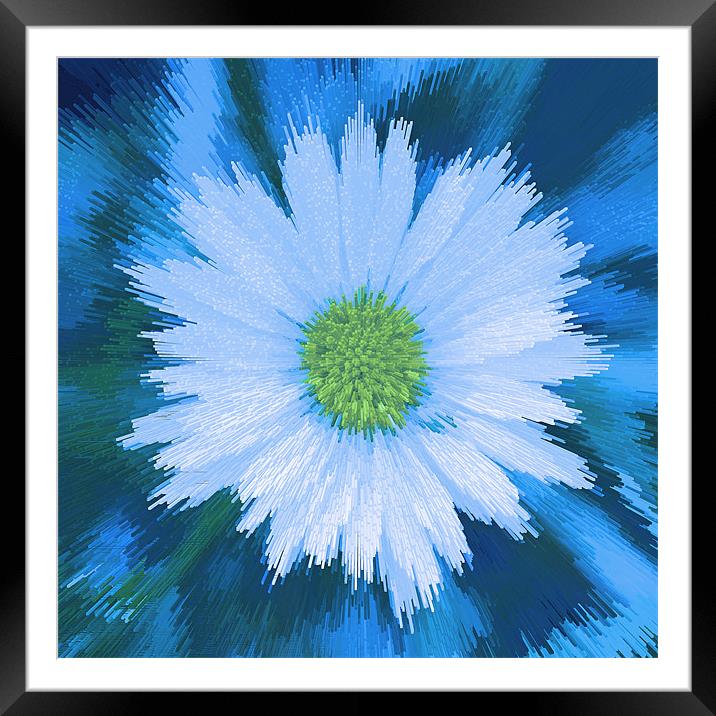 Abstract Daisy on blue Framed Mounted Print by Bill Simpson