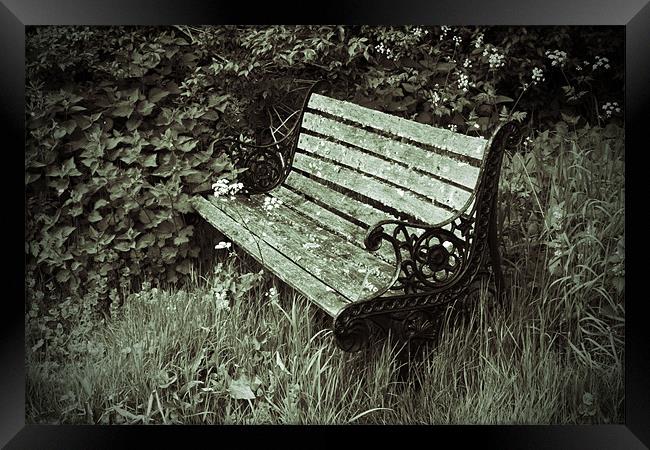 Neglected Bench Framed Print by Bill Simpson