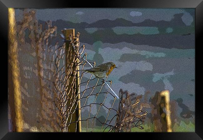 Robin on Wire Framed Print by Bill Simpson